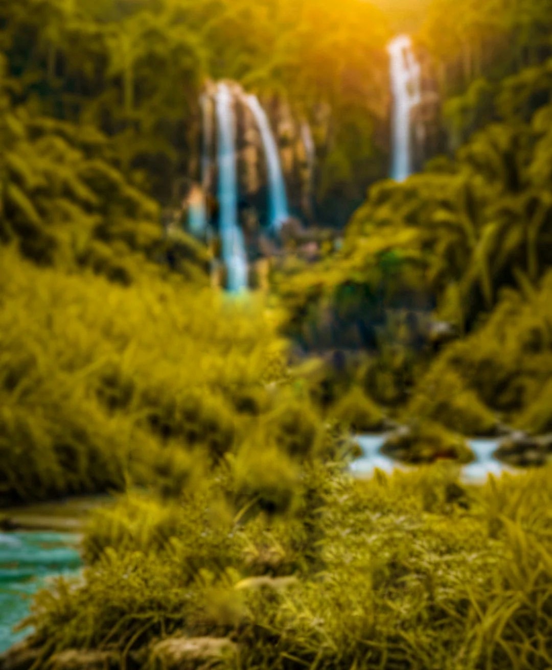 Nature CB Background HD 